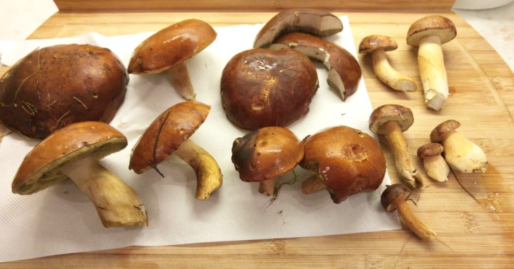 Pilzpfanne/Pilzschnitzel auf frischem Dinkelbrot – Joesrestandfood